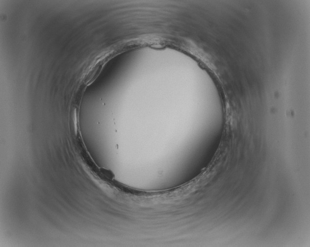 X0000080170013200612221302