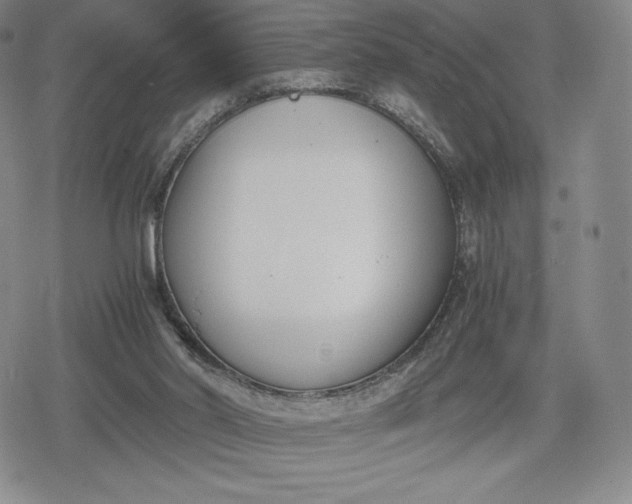 X0000080170014200612221302