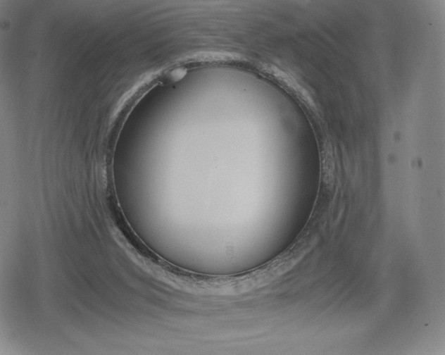 X0000080170015200612221302