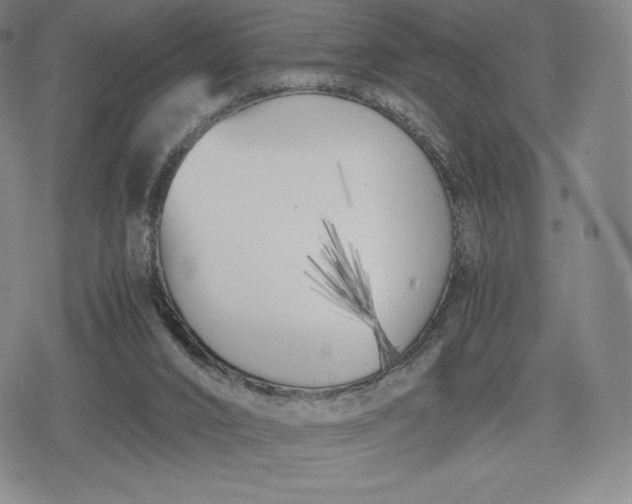 X0000080170016200612221302