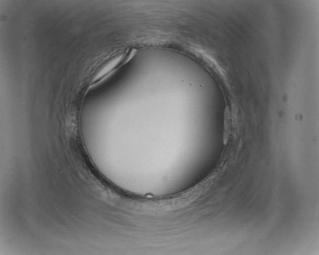 X0000080170017200612221302