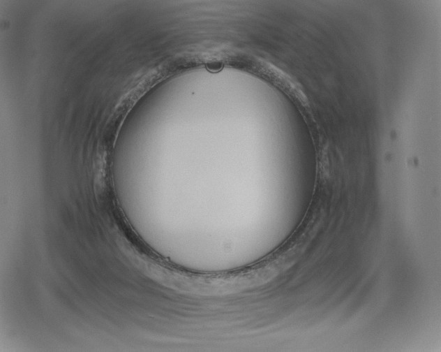 X0000080170018200612221302