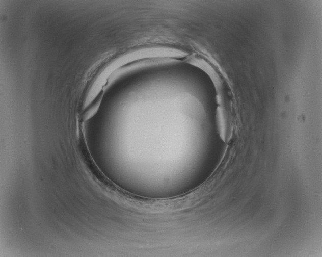 X0000080170019200612221302