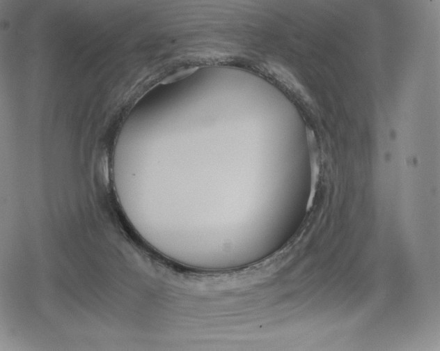 X0000080170021200612221302