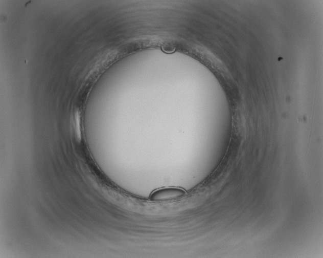 X0000080170022200612221302