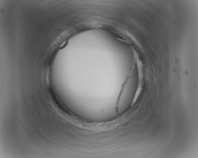 X0000080170023200612221302