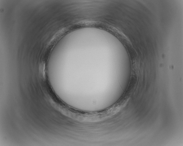 X0000080170024200612221302