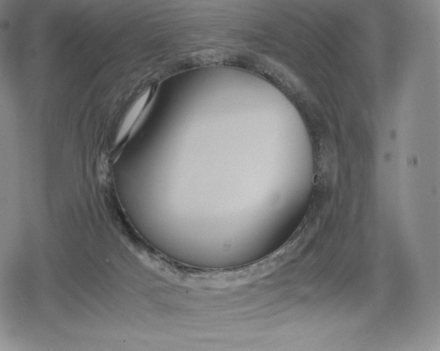 X0000080170025200612221302