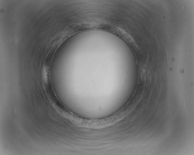 X0000080170026200612221302