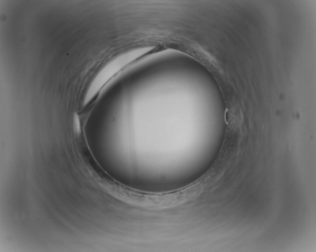 X0000080170027200612221302