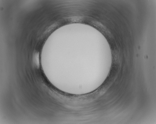 X0000080170028200612221302