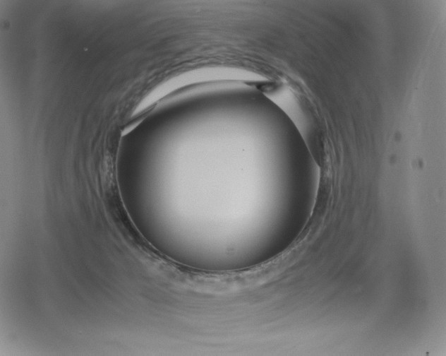 X0000080170029200612221302