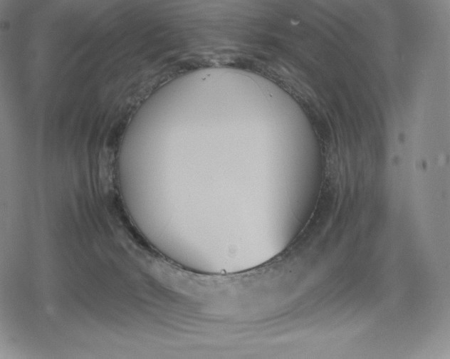 X0000080170030200612221302