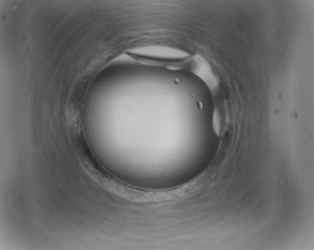 X0000080170031200612221302