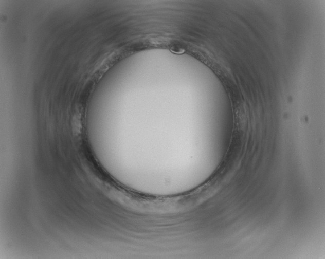 X0000080170032200612221302