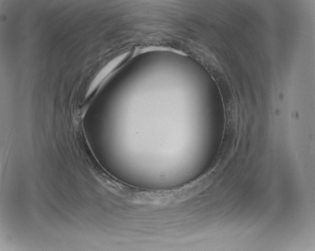 X0000080170033200612221302