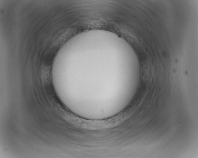 X0000080170034200612221302