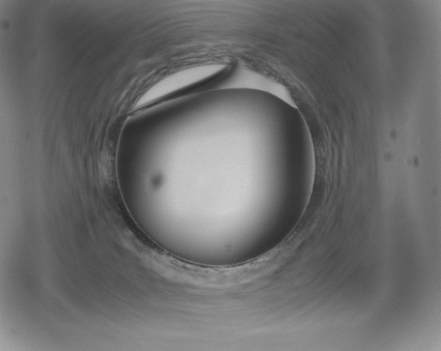 X0000080170035200612221302