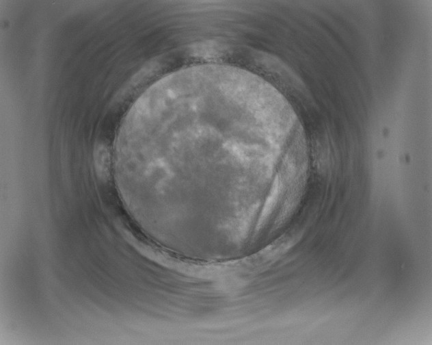 X0000080170036200612221302