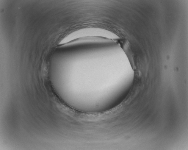 X0000080170037200612221302