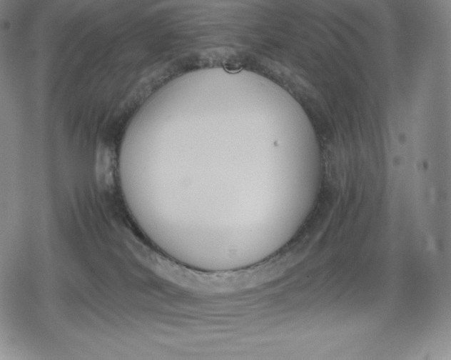 X0000080170038200612221302