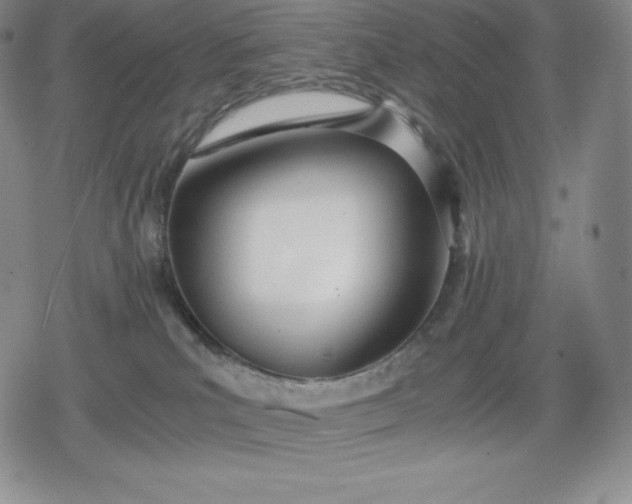 X0000080170039200612221302