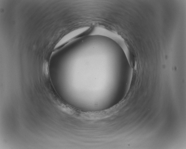 X0000080170041200612221302