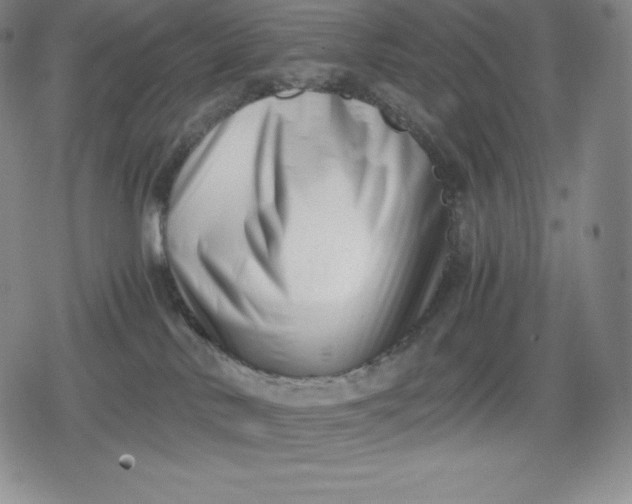 X0000080170042200612221302