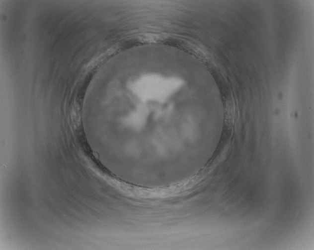 X0000080170043200612221302