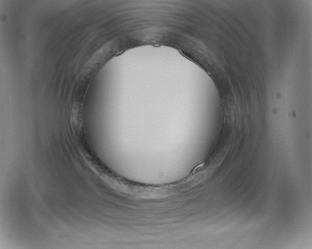 X0000080170044200612221302