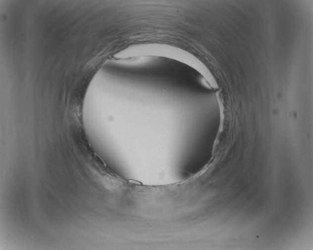 X0000080170045200612221302