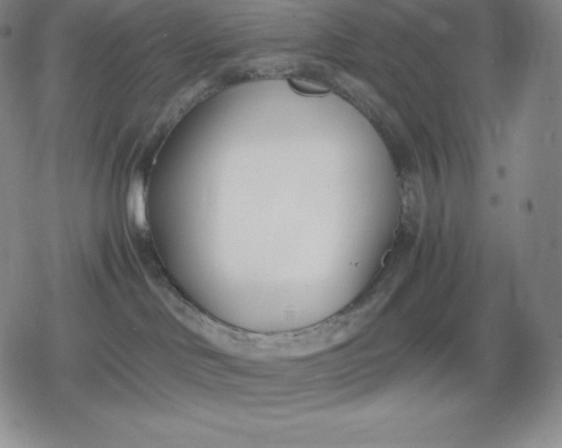 X0000080170046200612221302