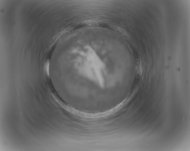 X0000080170047200612221301