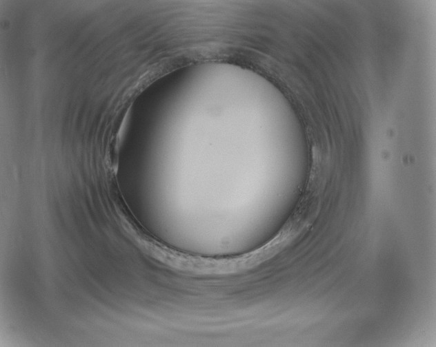 X0000080170048200612221301