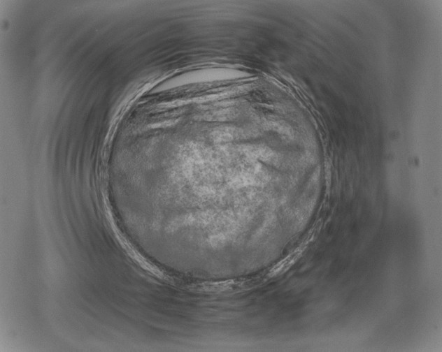 X0000080170049200612221301