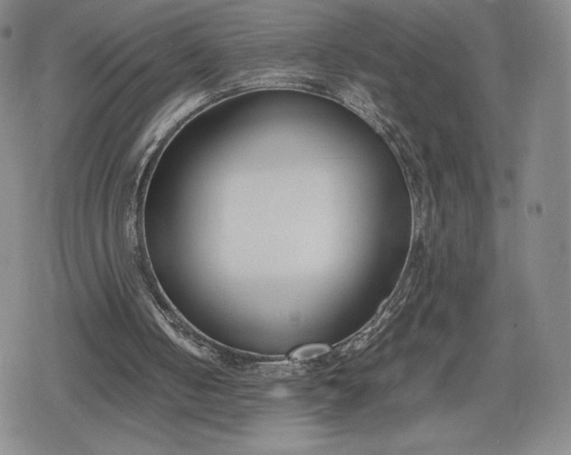 X0000080170050200612221301