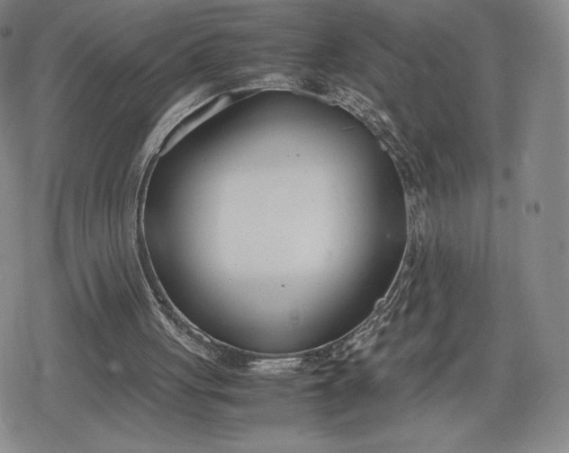 X0000080170051200612221301