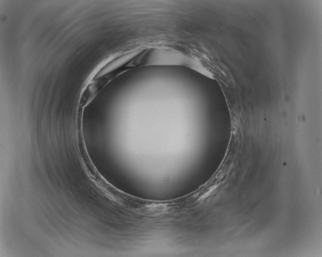 X0000080170052200612221301