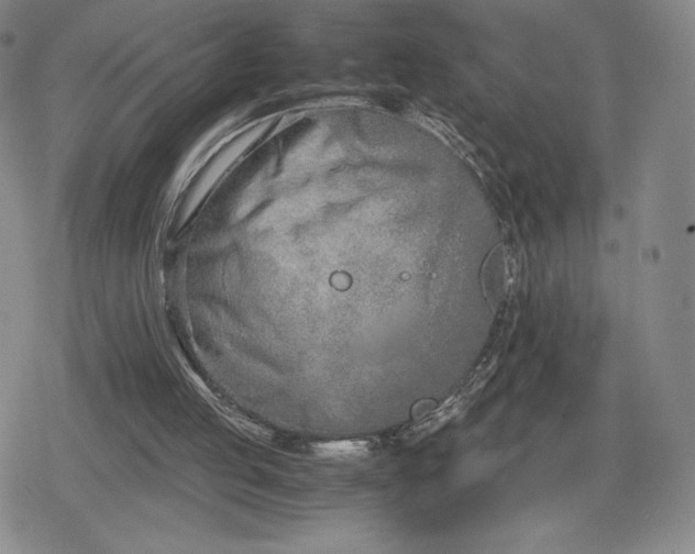 X0000080170053200612221301