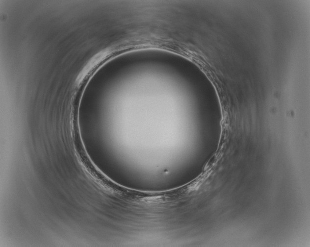 X0000080170054200612221301