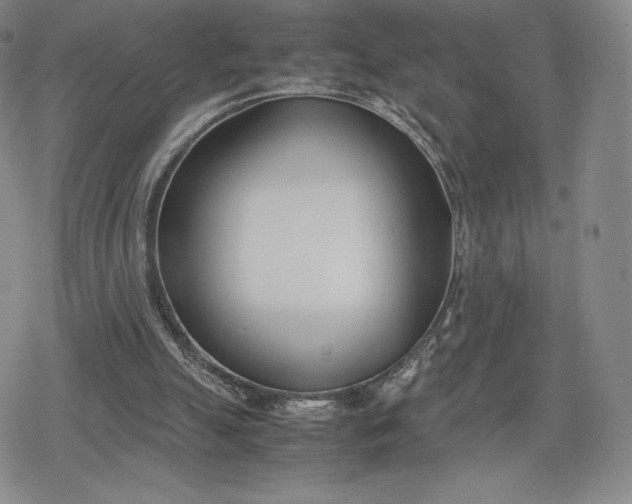 X0000080170055200612221301