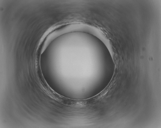 X0000080170056200612221301