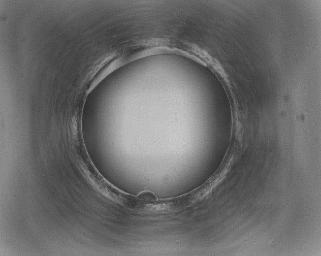 X0000080170057200612221301