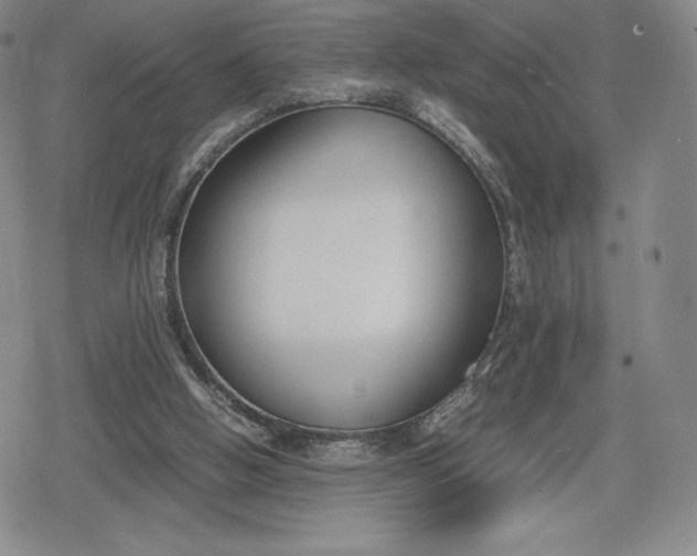 X0000080170058200612221301