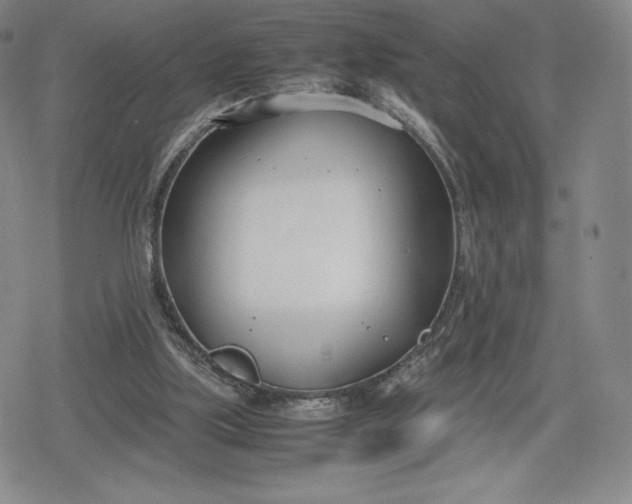 X0000080170059200612221301