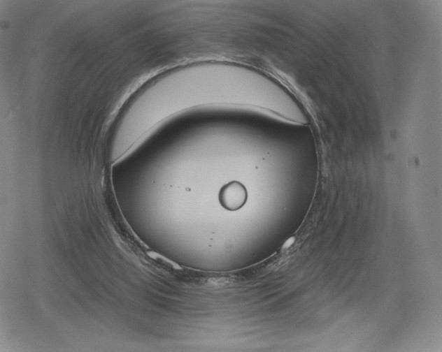 X0000080170060200612221301