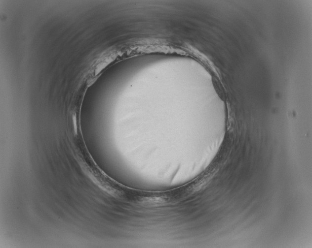 X0000080170061200612221301