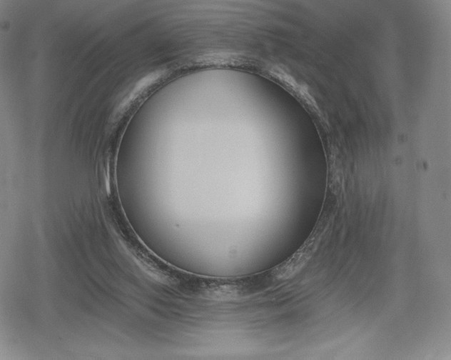 X0000080170062200612221301