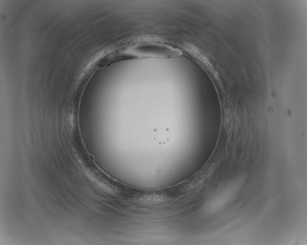 X0000080170063200612221301