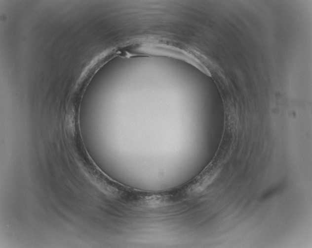 X0000080170064200612221301